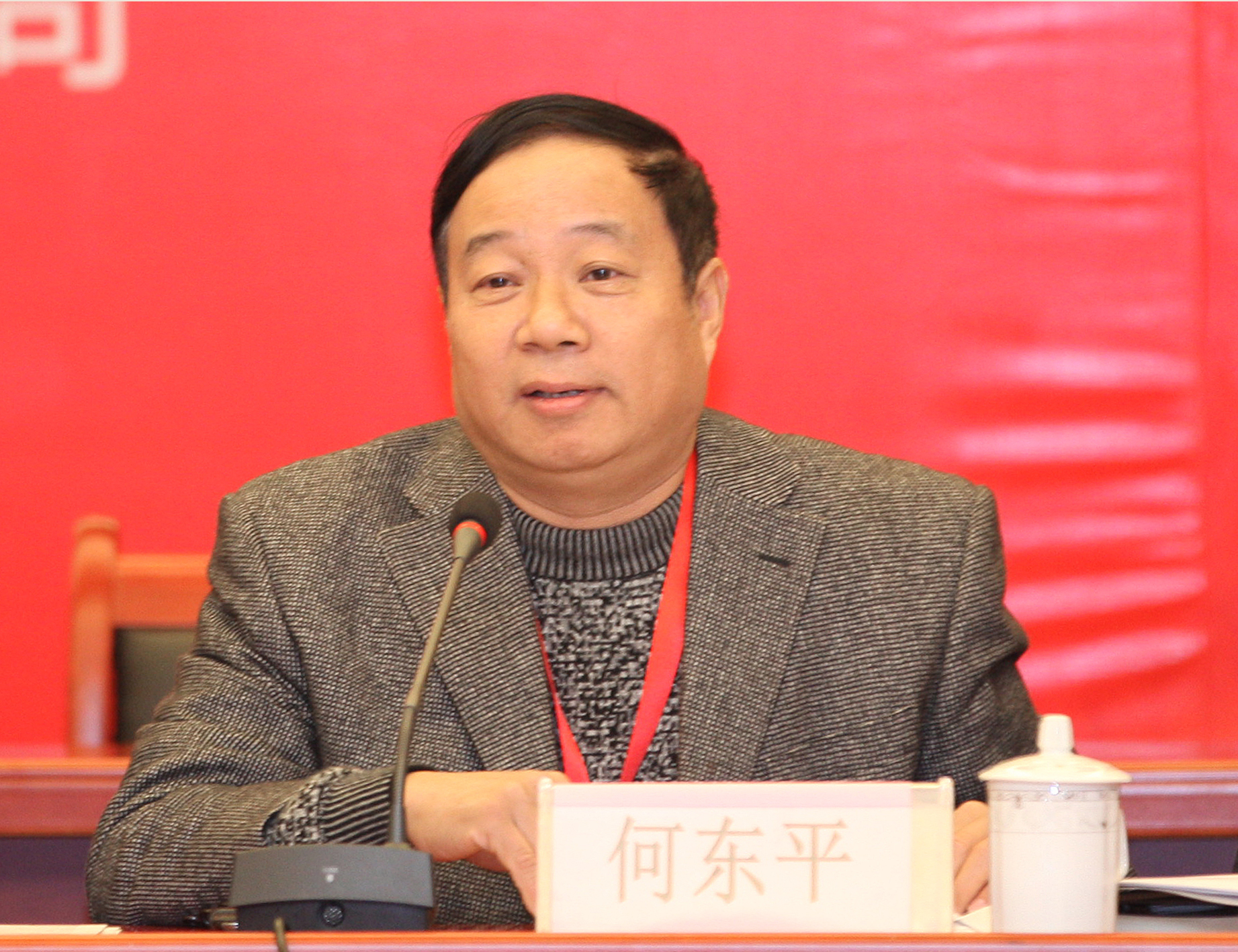 武汉工业学院何东平教授
